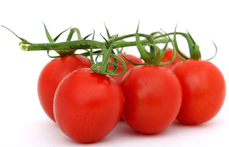 Fresh Vegetables